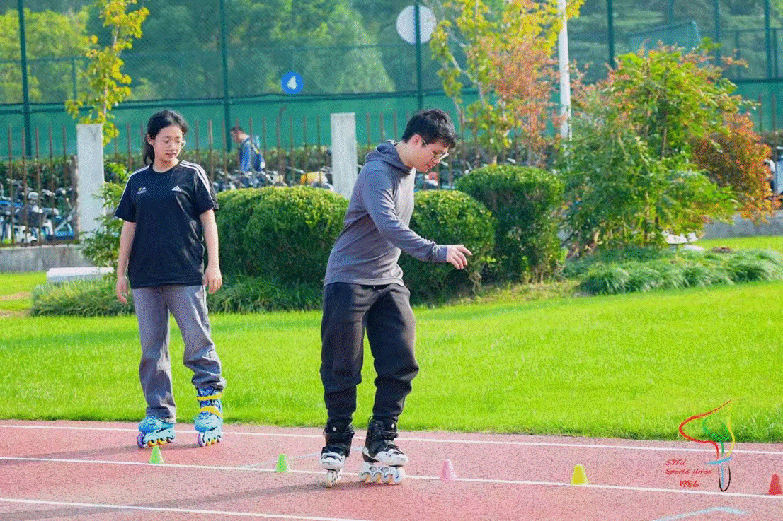 xcsport体育备用网址图片