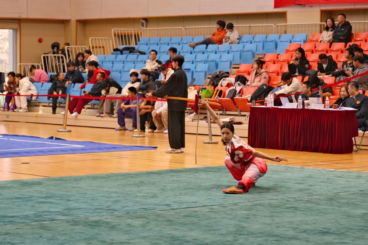 xcsport体育安全通道
