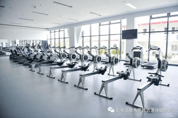 xcsport体育体育频道