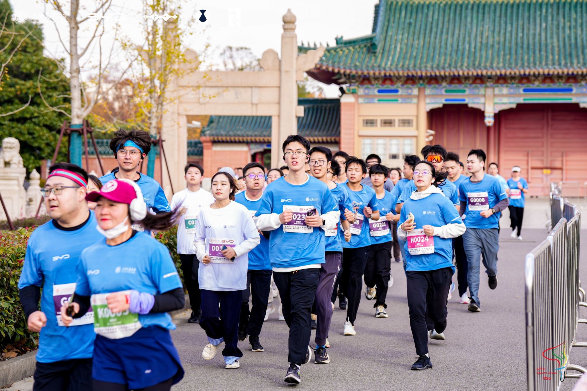 xcsport体育官方指定端