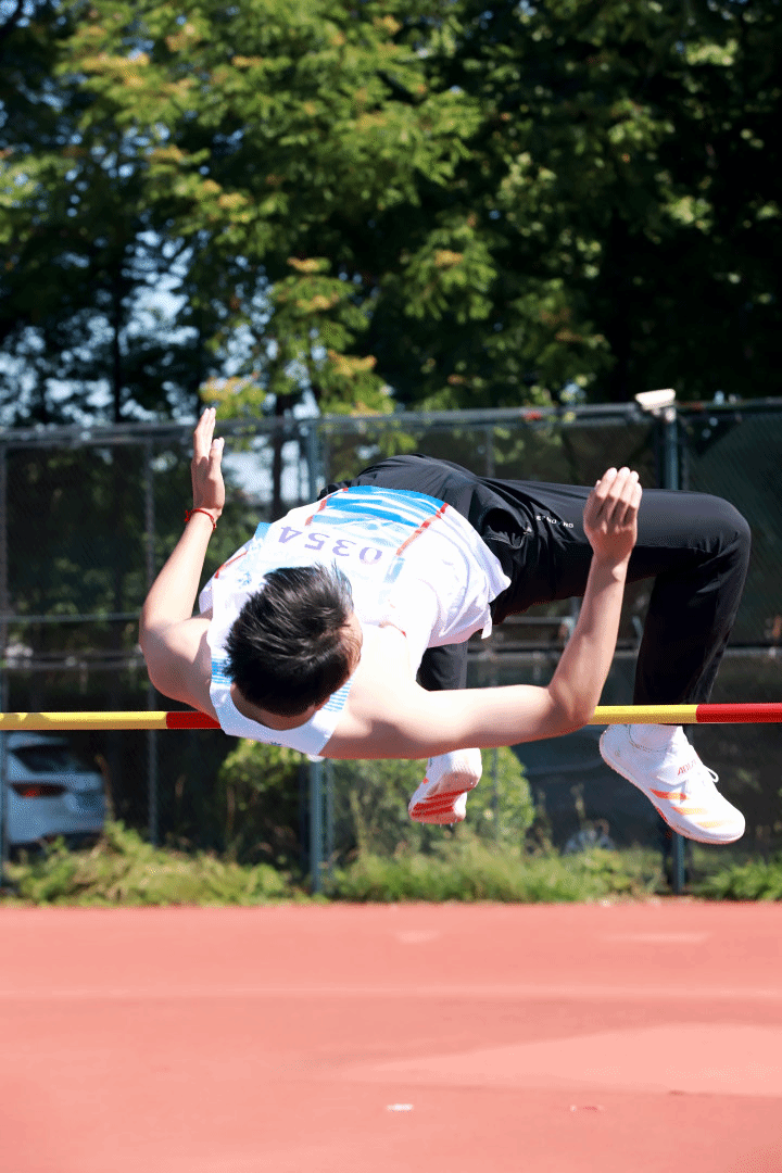 xcsport体育备用网址图片