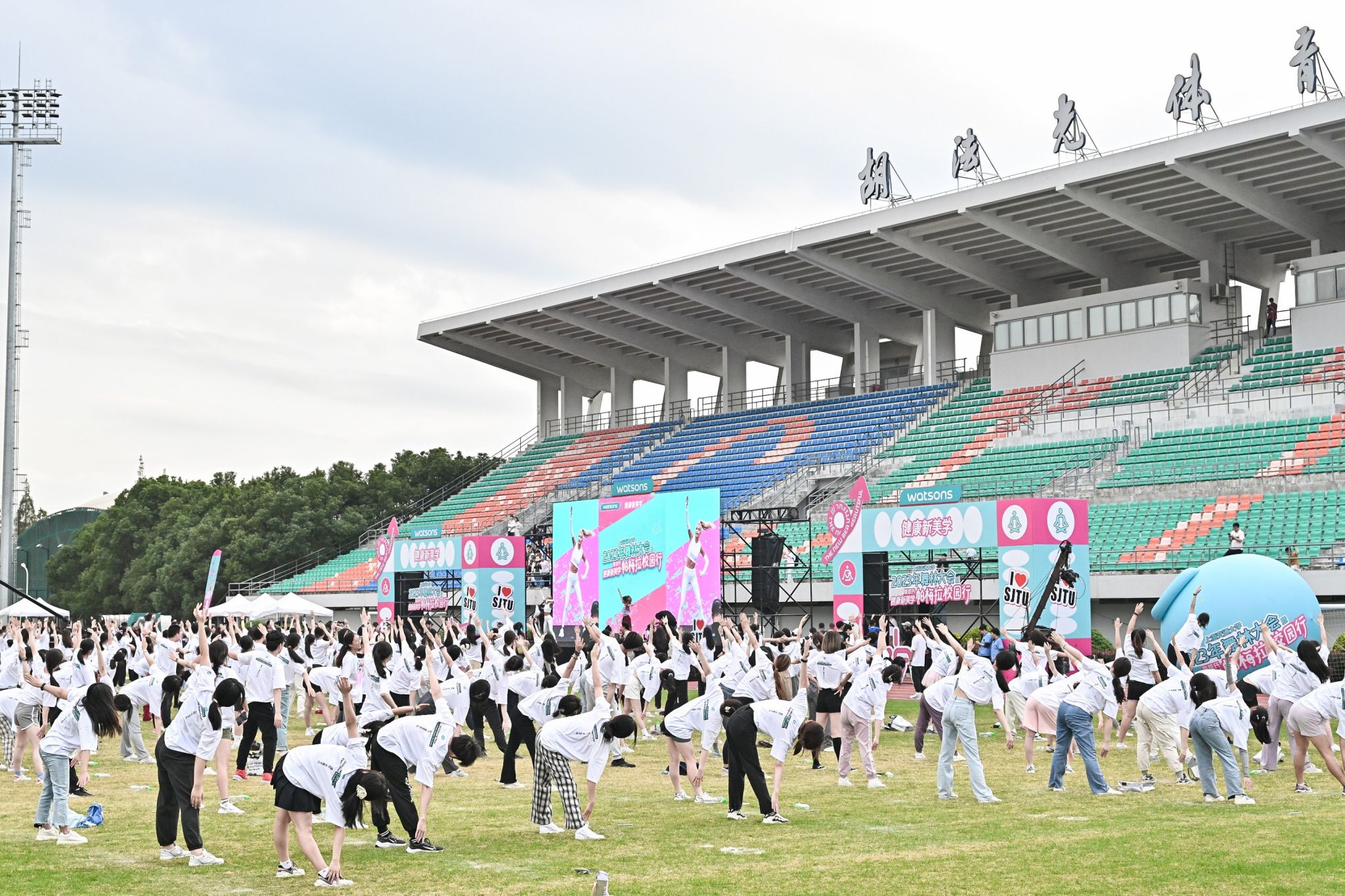 xcsport体育备用网址