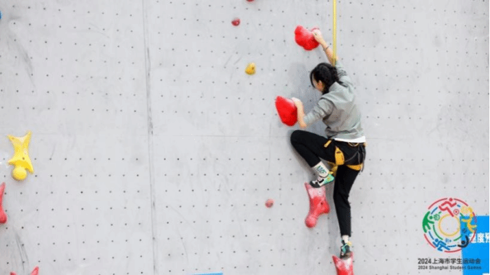xcsport体育指定通道