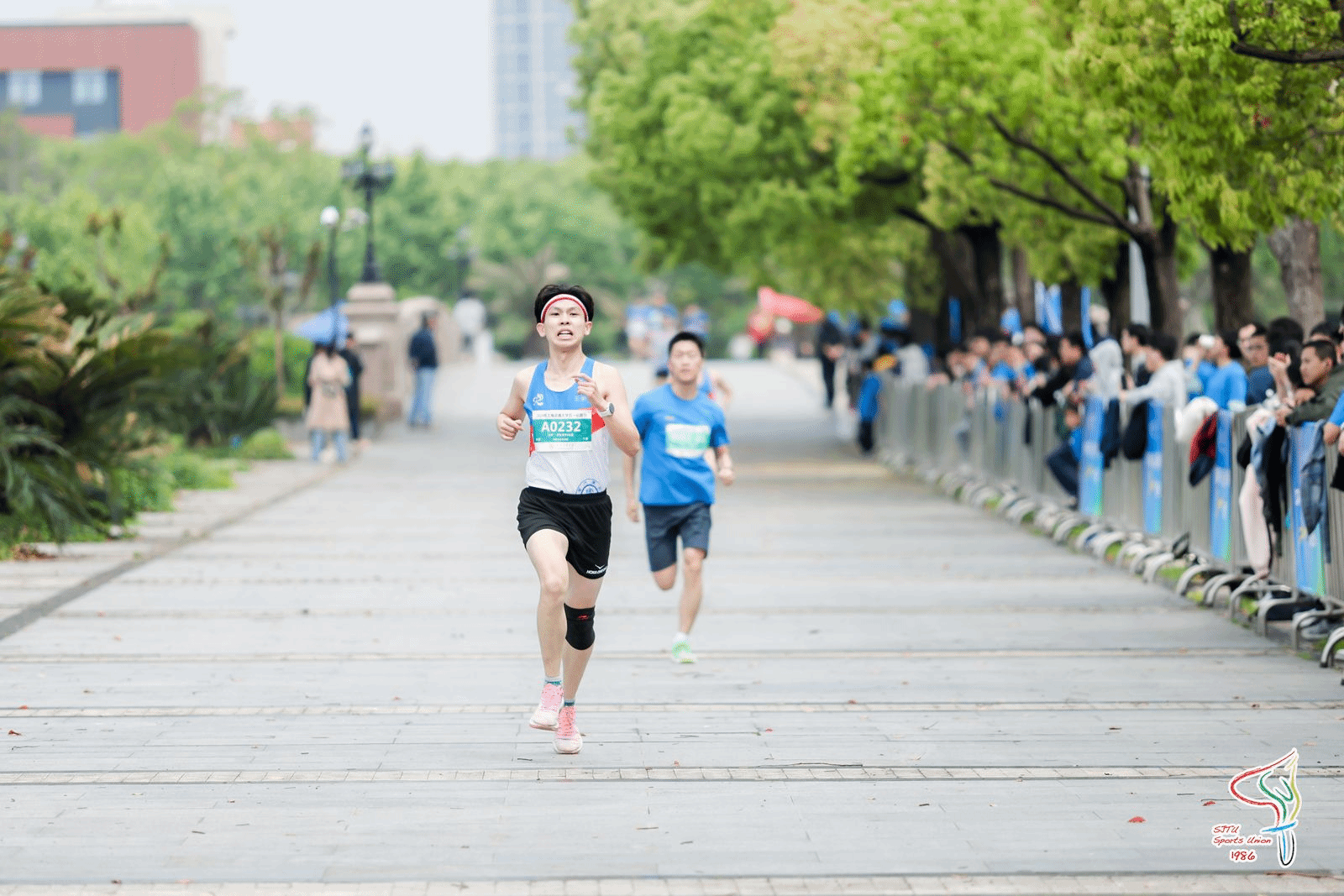 xcsport体育直播