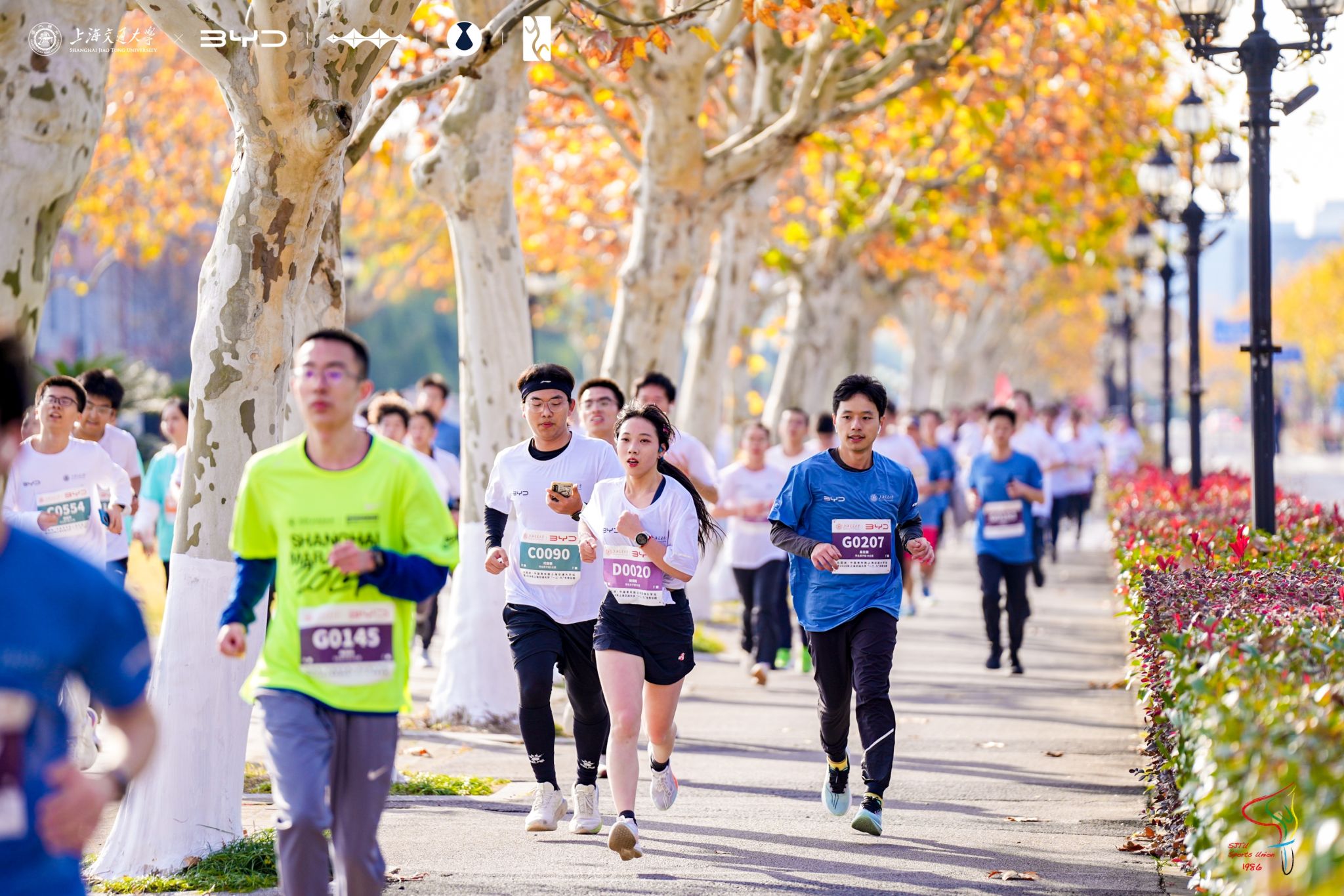 xcsport体育APP下载
