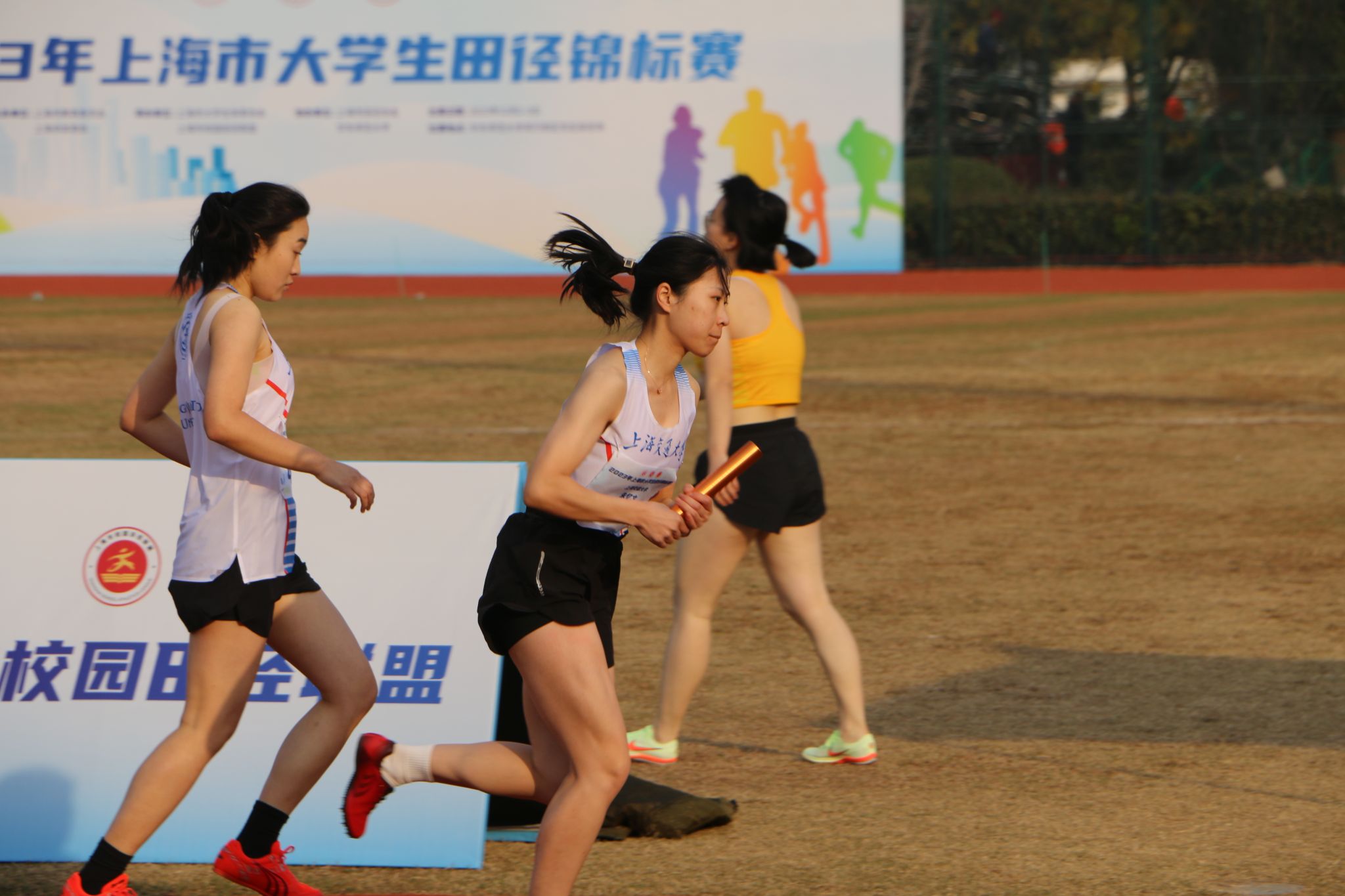 xcsport体育备用网址