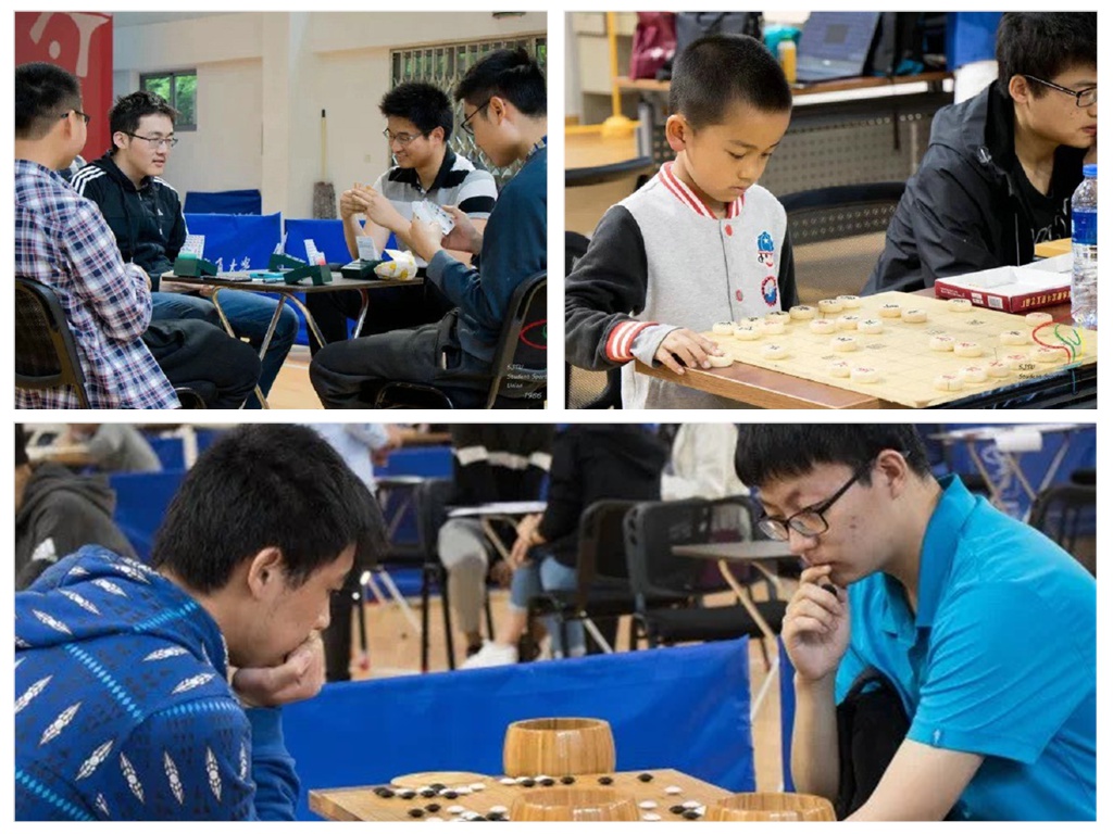 xcsport体育平台图片