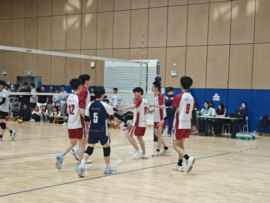 xcsport体育加速节点