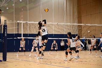 xcsport体育APP下载