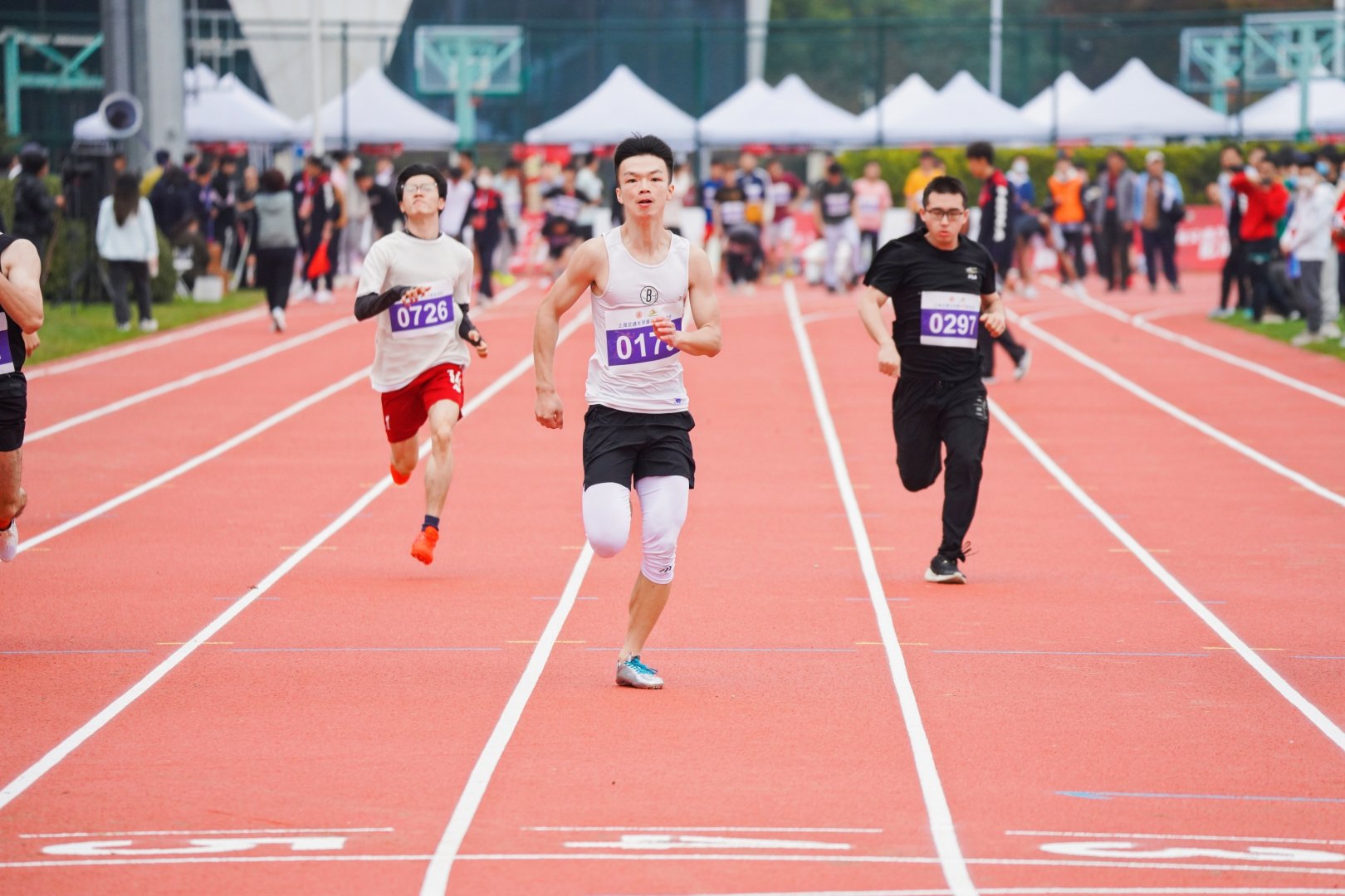xcsport体育官方线路