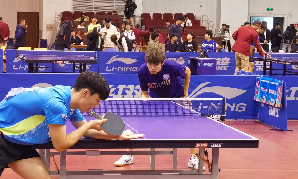 xcsport体育欧洲杯