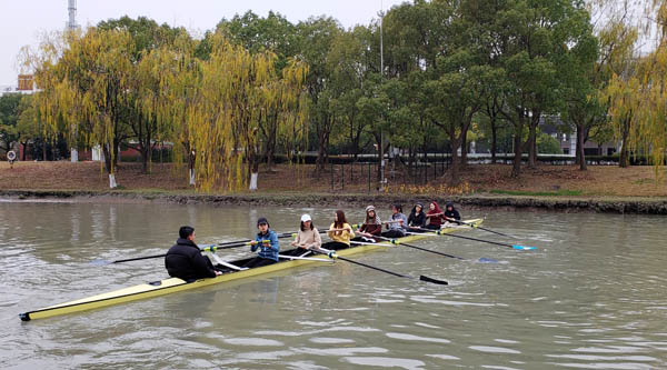 xcsport体育官方指定端