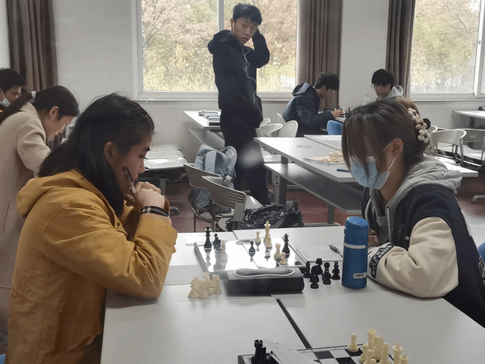xcsport体育欧洲杯图片