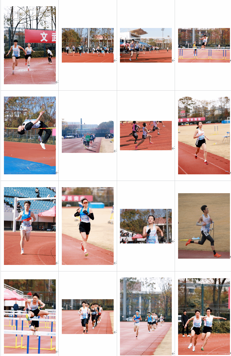 xcsport体育备用网址
